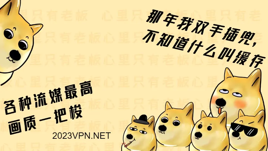 2026年中国36个好用的VPN推荐(GFW加强封锁后仍能用) 2026年中国36个好用的VPN推荐(GFW加强封锁后仍能用)